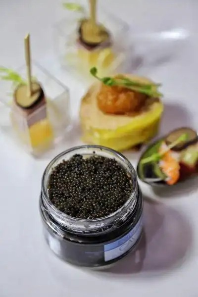 舌尖上的极品法国料理三宝