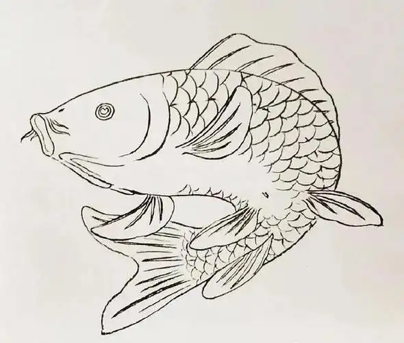 素材| 收集的50幅工笔鱼白描画谱 值得一看