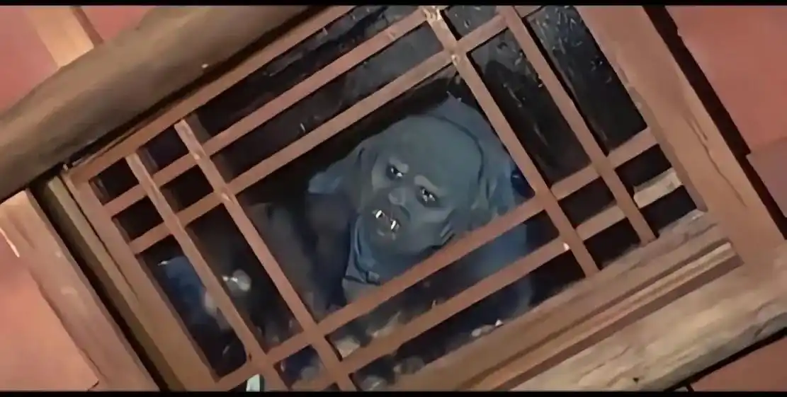 喜欢你却不敢告诉你,只能爬窗偷偷的看着你.#暗中观察 #偷偷 - 抖音