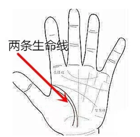 原创手上有两条生命线就是有两次生命吗