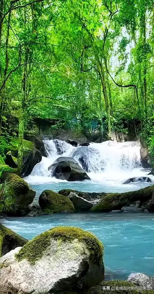 精选唯美养眼大自然风光图片壁纸,壁纸图片 风景 绿色 养眼(大自然