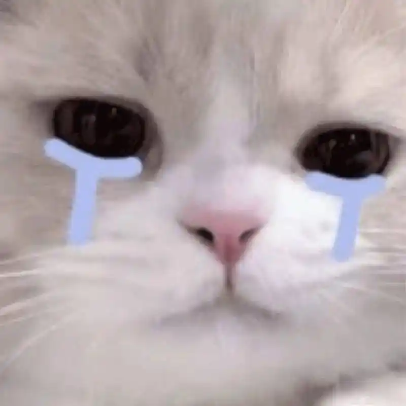 伤心流泪猫猫头表情包