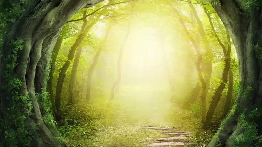 童话森林风景桌面壁纸