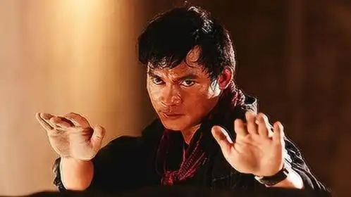 泰国巨星托尼贾的经典动作电影,拳拳到肉,看的实在是过瘾