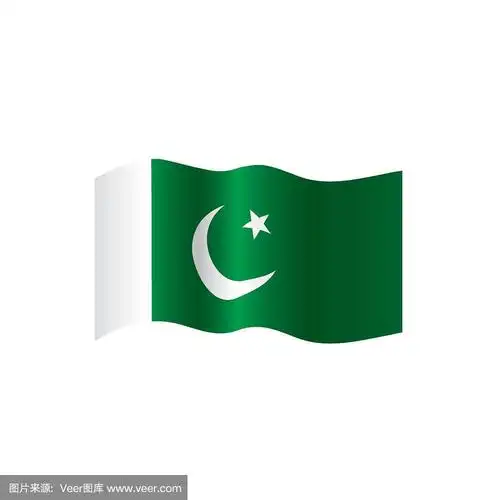 巴基斯坦国旗,矢量图