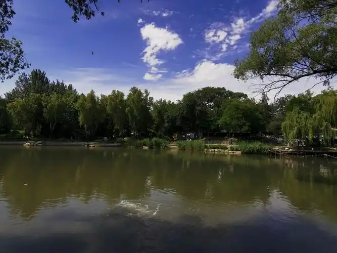 青年湖公园点点滴滴,细细碎碎…… - 时语妈妈 - 图虫