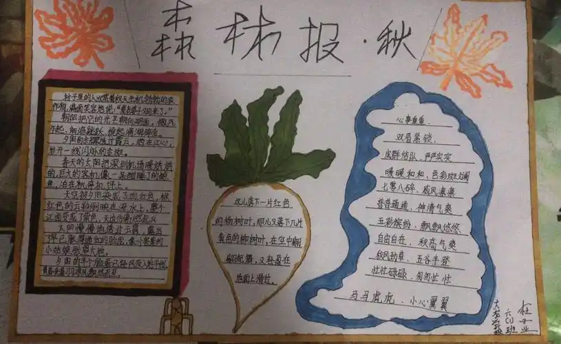 六1班杜子业同学的《森林报》手抄报展示.