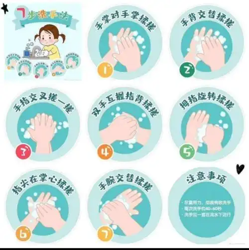 七步洗手法