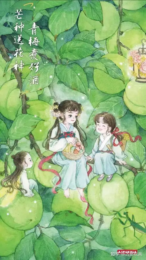 古部玩具 的想法: 芒种送花神,青梅煮好酒 - 知乎