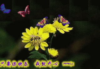 我就开心花蝴蝶中老年人表情包祝福gif动图_动态图_表情包下载_soogif