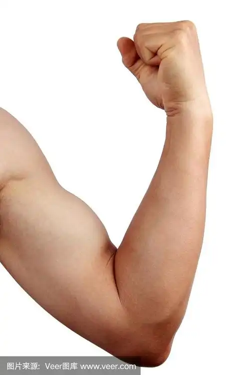 白色背景上的男性手臂