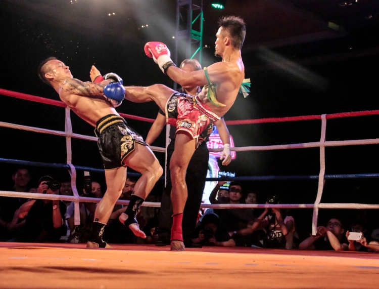 泰拳10个基本动作