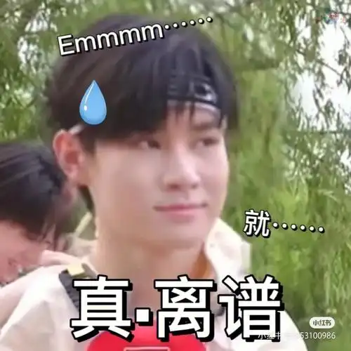 tnt时代少年团表情包第十七弹