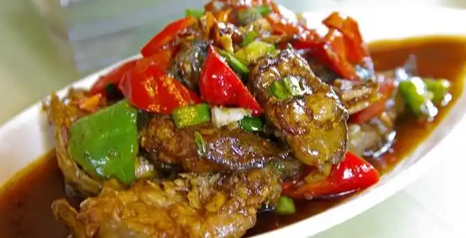 红烧鲶鱼的做法_红烧鲶鱼怎么做好吃_红烧鲶鱼的家常做法_菜谱大全_美