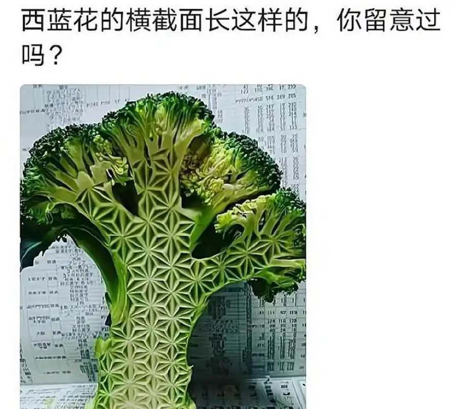 如果西蓝花的横截面要是长这样,你还舍得吃吗? #搞笑趣味图
