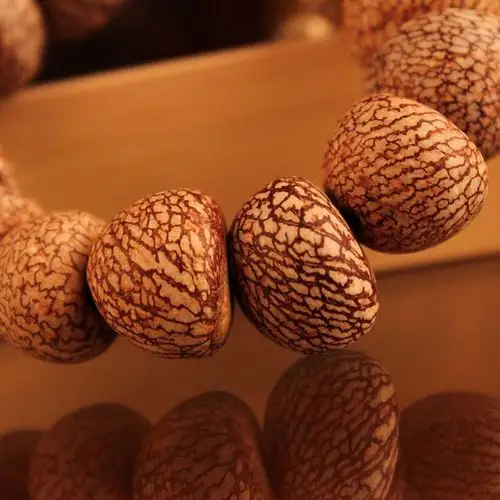 半圆金丝果菩提子手串