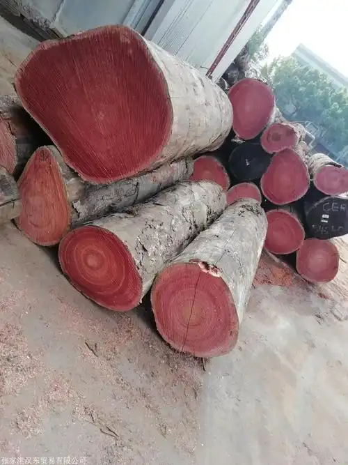 进口红椿cer 巴新红椿木 低价供应 汉威木业