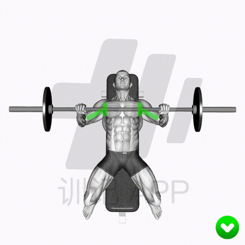 3)上胸 我上胸最喜欢的动作是 哑铃上斜卧推,我不用杠铃的原因其适乔