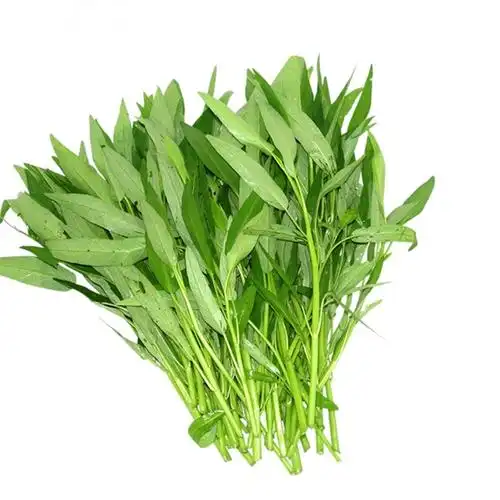 柳叶菜心种籽秋冬季柳尖菜心种细梗好吃甜菜心种子 100克【图片 价格