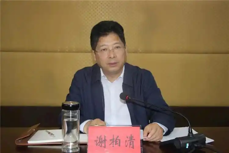 书记谢柏清出席会议并讲话,县领导陈敏,叶文华,宣功成,陈康,赵国水,陈