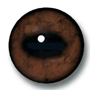 afe中色鹿眼 afe  medium deer eyes 万氏"afe中色鹿眼"是一种高档