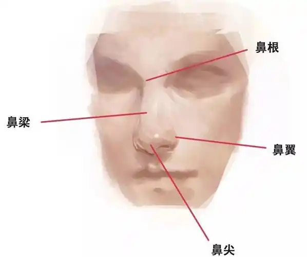 鼻梁塌,鼻头肉…鼻子丑的人,变美还有可能吗?