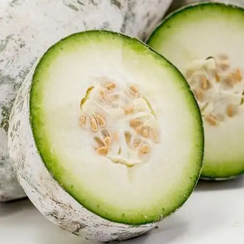 冬瓜白皮一串种子粉皮迷你种籽毛节瓜圆长瓠瓜家庭园艺种子