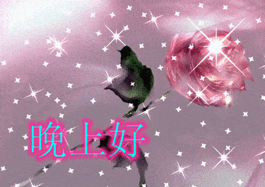 晚上好漂亮的动态图片带字,晚安问候语温馨简短一句话