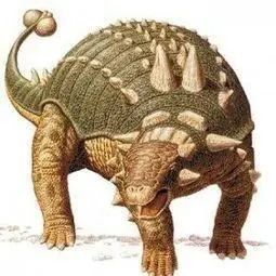 包头龙属(lambe,1910)是甲龙科下的一个属,又名