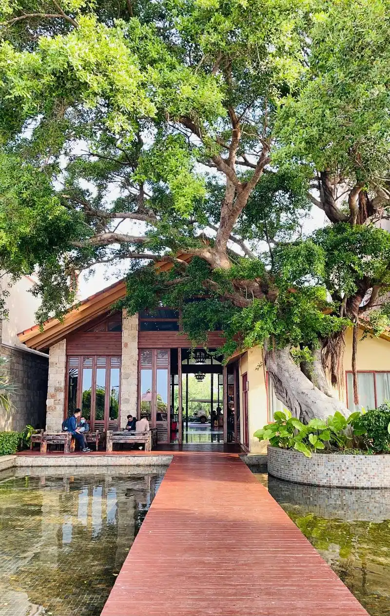 涠洲岛南湾海景酒店,房型:海景房.价格:380元.涠洲岛遍地 - 抖音