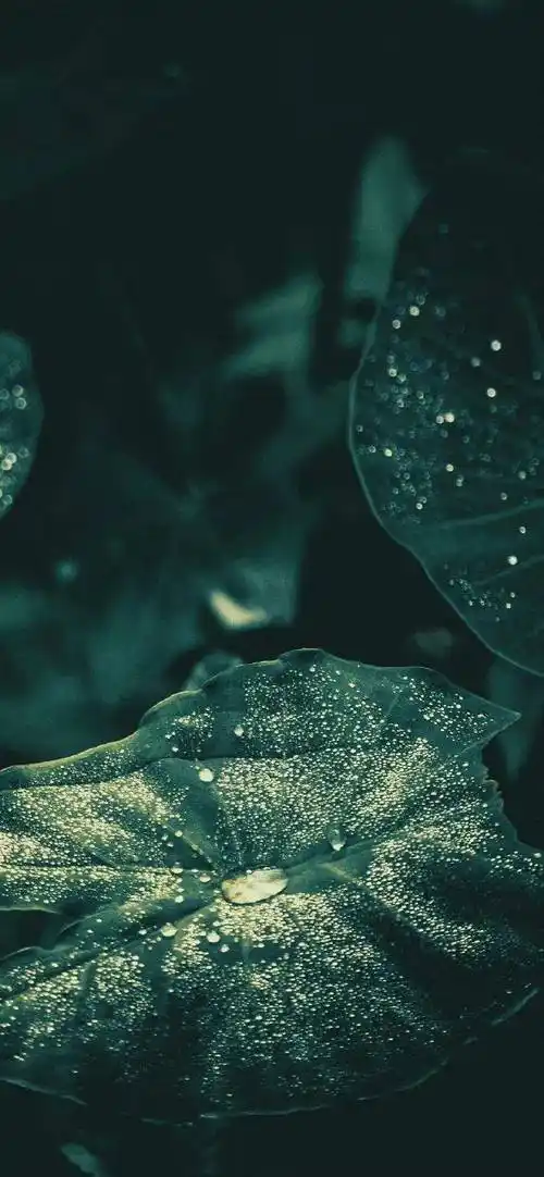 背景 壁纸 皮肤 星空 宇宙 桌面 690_1493 竖版 竖屏 手机