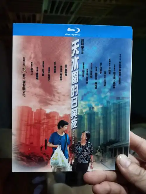 天水围的日与夜最细腻动人香港文艺片