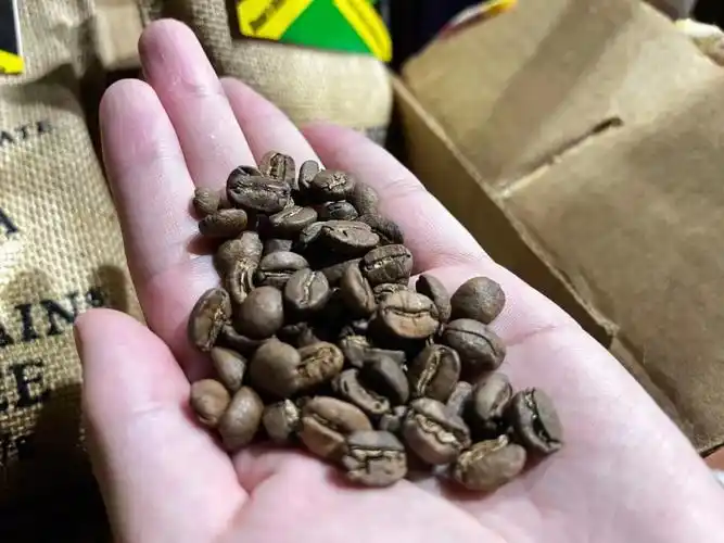 我喜欢喝牙买加蓝山咖啡