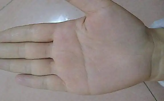 女人假断掌手相 关系着这3个方面 -996手相网