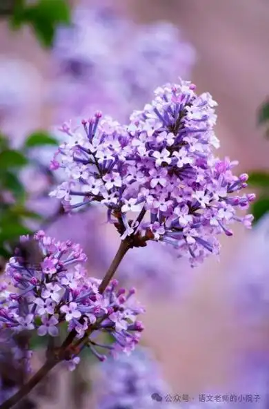 我的乡土小小说(13)/佟馆长