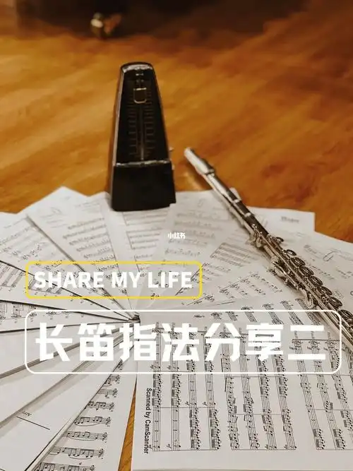 三张图教会你所有的长笛指法～快学起来哦94