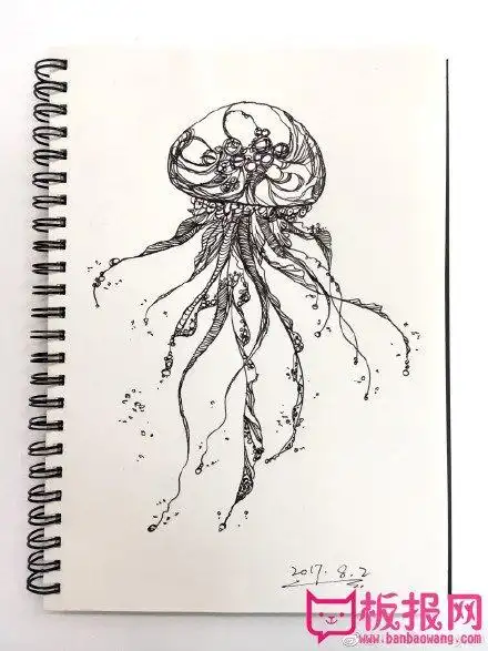 漂亮的水母的素描画