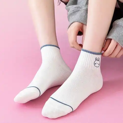 centuryboy夏季帆布鞋小白鞋袜子女日系薄款棉质低帮浅口短筒袜学院风