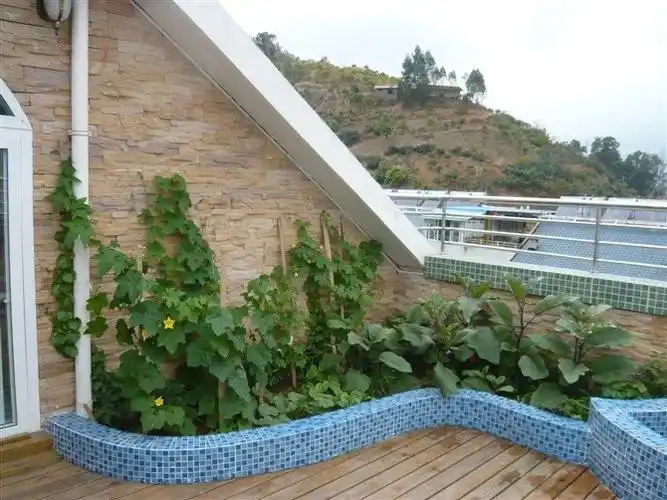 我的菜园,我的乐园