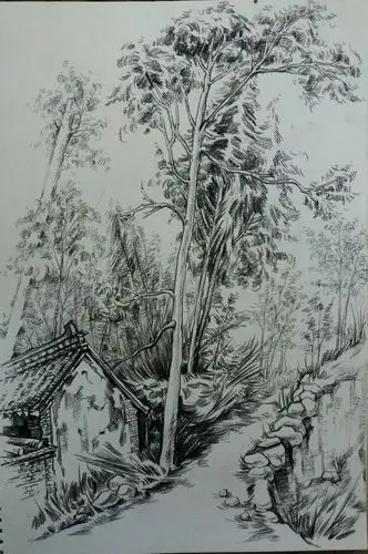 三川美术教育2016伏牛山景区写生