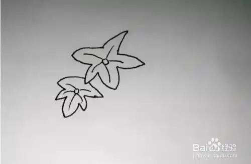 丝瓜的简笔画怎么画