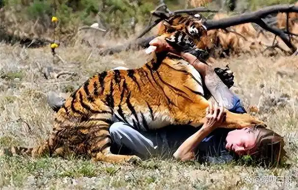 2016年八达岭老虎伤人案一死一伤索赔155万败诉后来怎样了