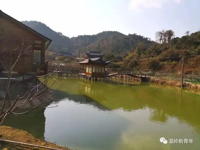 温岭山坳里的传奇桃花源,明年将再现最美梯. - 忘记你我做不到的主页