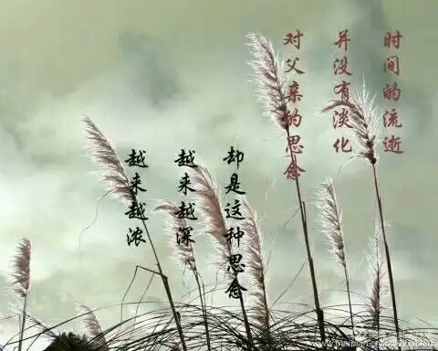 悼念父亲逝世三周年