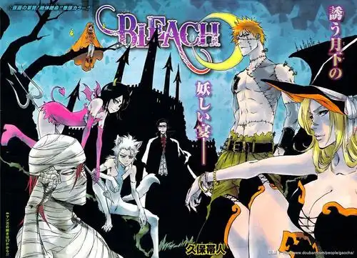 陈小姐的相册-bleach彩页