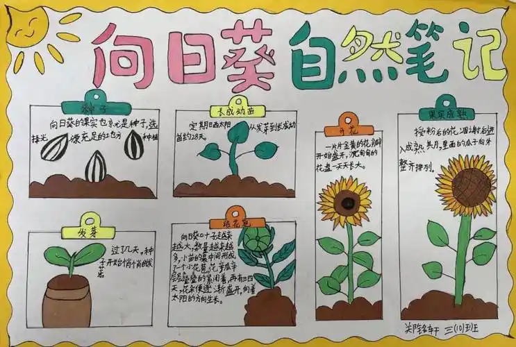 我与瓜子节系列展播