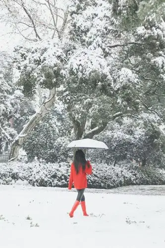 西湖边红衣女孩在雪中美出了千种风情.