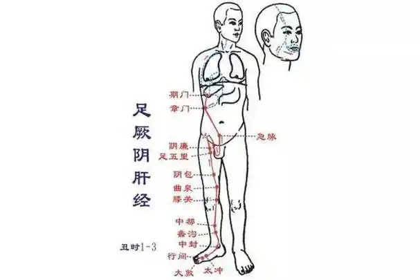 肝经锻炼七法,强肝护肝真"肝"净