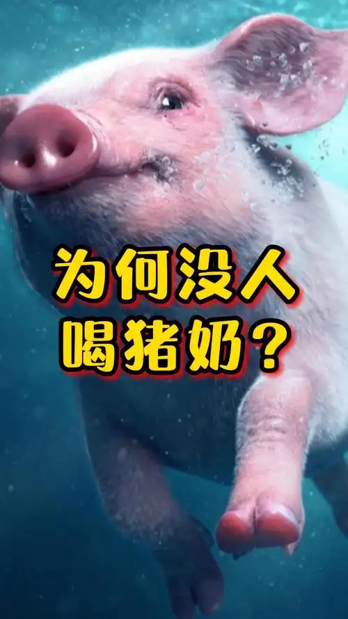 蟑螂奶都有人喝了为啥没人喝猪奶呢