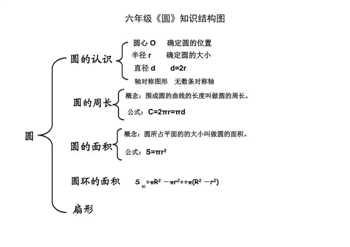 六年级圆的知识结构图